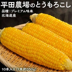 【予約受付】8/1~順次出荷【10本入り(1本約350g)】平田農場のとうもろこし(品種プレミアム) | 北海道産の鮮度抜群のとうもろこしをお届けします。【冷蔵】