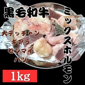 【計1kg/500g×2パック】九州産黒毛和牛 ミックスホルモン