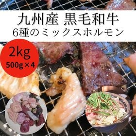 【計2kg/500g×4パック】九州産黒毛和牛 ミックスホルモン