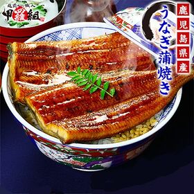 【180g前後】鹿児島県産 うなぎ蒲焼き | ふっくら柔らか肉厚の鹿児島県産大型サイズを厳選！