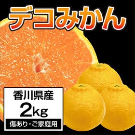 【約2.0kg（クール便）】香川県産デコみかん (ご家庭用・シミあり) デコポンと同品種