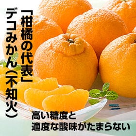 【約2.0kg（クール便）】香川県産デコみかん (ご家庭用・シミあり) デコポンと同品種