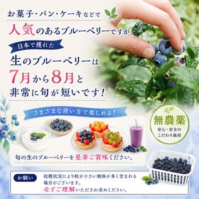 【計400g (200g×2パック)】 島根県産 無農薬 生ブルーベリー
