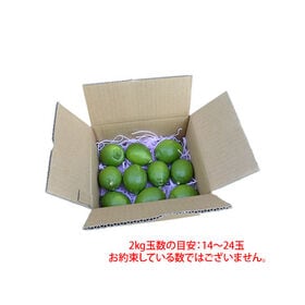 【予約受付】9/25~順次出荷【2kg(2S-L)】熊本県産 レモン 国産レモン