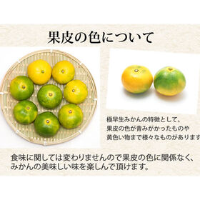 【予約受付】10/1~順次出荷【10kg】 熊本みかん 極早生 秀品