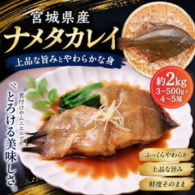 【約2kg/4~5尾】宮城県産 ナメタガレイ | 脂身が少なく淡白でほのかな甘みのある上品な味わい！塩焼き・唐揚げ・煮付け等々で