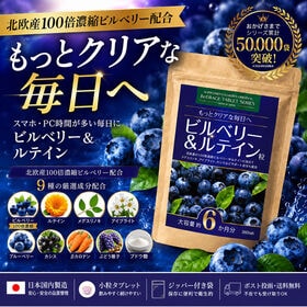 【約6ヶ月分／360粒】サプリメントガーデン　ビルベリー＆ルテイン粒 | 北欧産100倍濃縮ビルベリーとたっぷりルテイン！さらに7種のサポート成分をギュッと凝縮