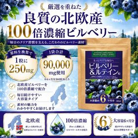 【約6ヶ月分／360粒】サプリメントガーデン　ビルベリー＆ルテイン粒