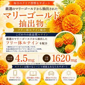 【約6ヶ月分／360粒】サプリメントガーデン　ビルベリー＆ルテイン粒