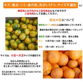 【予約受付】10/1~順次出荷【箱込約5kg】熊本みかん  (ご家庭用・傷あり)