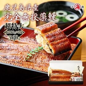 【約280g×2尾】うなぎ蒲焼き 国産　完全無投薬 鹿児島県産 超特大【化粧箱入り】 | 焼きにもこだわり、炭火で焼き、タレ焼きを4回した香ばしく仕上げた蒲焼きをご堪能下さい