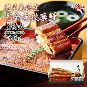 【約280g×3尾】うなぎ蒲焼き 国産　完全無投薬 鹿児島県産 超特大【化粧箱入り】