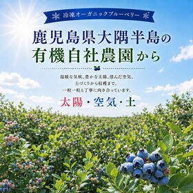 【5kg】鹿児島県産冷凍オーガニックブルーベリー