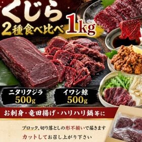【2種計1kg】くじら2種食べ比べセット（ニタリ鯨＆イワシ鯨...