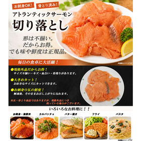 【300g】アトランティックサーモン 切り落とし【規格外品】