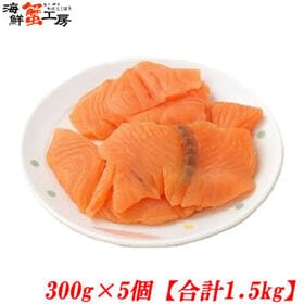 【計1.5kg/300g×5パック】アトランティックサーモン 切り落とし【規格外品】 | サイズ・脂乗りのバラつきはあれども、お刺身OKの鮮度！！