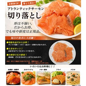 【計3kg/300g×10パック】アトランティックサーモン 切り落とし【規格外品】