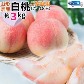 【3kg】＜ご家庭用＞ 山形県産 白桃 品種おまかせ(7〜18玉) クール便 | フルーツ大国山形・東根産！丹精込めた無袋栽培で太陽光をいっぱいに浴びた、香り高く濃い甘み◎