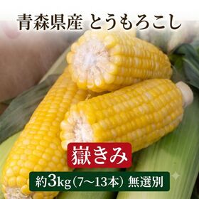 【予約受付】8/13~順次出荷【約3kg(7~13本) 】嶽きみ 青森県産とうもろこし【冷蔵】 | 一般流通しない極旨・希少とうもろこし！