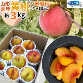 【予約受付】8/15~順次出荷【3kg】ご家庭用　山形県産 黄桃 品種お任せ(7〜18玉) クール便 | フルーツ大国山形・東根産！丹精込めた無袋栽培で太陽光をいっぱいに浴びた、香り高く濃い甘み◎