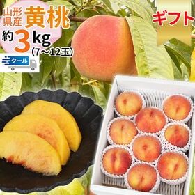 【予約受付】8/15~順次【3kg】＜秀選＞山形県産 黄桃 品種おまかせ(7〜12玉入り) クール便 | フルーツ大国山形・東根産！丹精込めた無袋栽培で太陽光をいっぱいに浴びた、香り高く濃い甘み◎