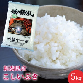 【5kg(5×1)】新潟県産こしいぶき≪令和7年産≫