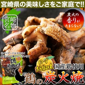 【80g×6個】日向屋 鶏の炭火焼 ゆず胡椒味 鶏の炭火焼き