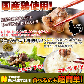 【80g×6個】日向屋 鶏の炭火焼 ゆず胡椒味 鶏の炭火焼き