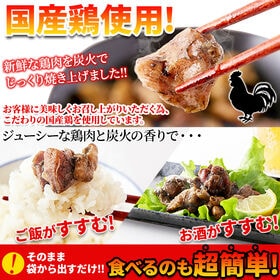 【80g×6個】日向屋 鶏の炭火焼 鶏の炭火焼き