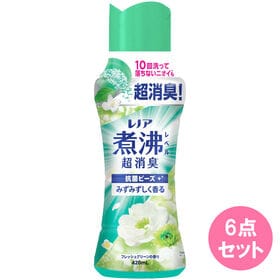 レノア 煮沸レベル超消臭 抗菌ビーズ みずみずしく香る フレッシュグリーンの香り | 【420ML×6点】洗いたてのさわやかさ、ずーっと続く！
