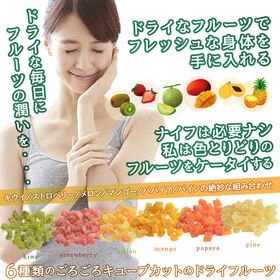 【400g】旅する6種のごろごろフルーツキューブ(ドライフルーツミックス)