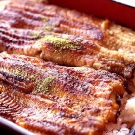 【一尾160g×10パック】うなぎ蒲焼き  無頭/背開き 中国産