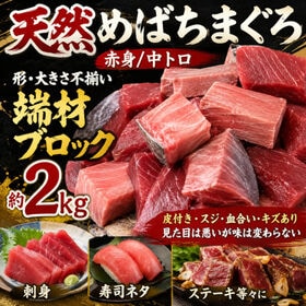 【約2kg】天然メバチ鮪 赤身中トロ部分（大きさ・形不揃い） ブロック | あっさりとした旨みと甘さの赤身と脂のノリが良く引き締まった食感の中トロが同時に味わえる！