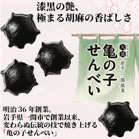 【8個入り】亀の子せんべい 岩手県一関 銘菓  亀の子せんべい本舗大浪