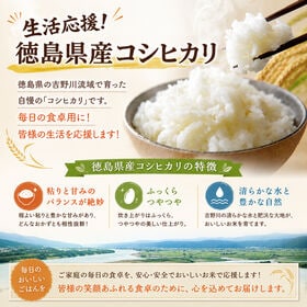 【日替わり数量限定】【約5kg】徳島県産コシヒカリ 令和7年産 銘柄米 生活応援米【先行チケット利用NG】