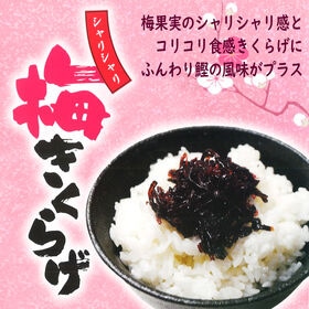 【日替わり数量限定】【140g×3袋】シャリシャリ梅きくらげ【先行チケット利用NG】