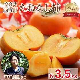 【予約受付】10/1~順次出荷【約3.5kg】《秀品》奈良県産たねなし柿 （平核無柿・刀根柿） | 甘み!食感!果汁!の種なし柿