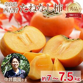 【予約受付】10/1~順次出荷【約7kg~7.5kg】《秀品》奈良県産 たねなし柿 平核無柿・刀根柿 | 甘み!食感!果汁!の種なし柿