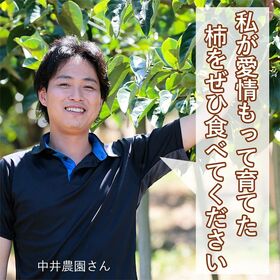 【予約受付】10/1~順次出荷【約7kg~7.5kg】奈良県産 たねなし柿（平核無柿・刀根柿）