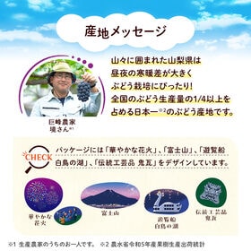カゴメ 野菜生活100 山梨巨峰ミックス 195ml×24本