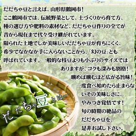 【予約受付】8/1~順次出荷【2kg】 山形県鶴岡市産 だだちゃ豆 バラ※ご家庭用