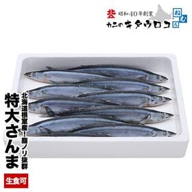 【約140〜160g/9~11尾入】お刺身OK 北海道根室産 特大さんま【冷凍】