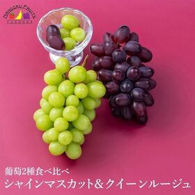 【予約受付】8月下旬~順次出荷 葡萄2種食べ比べ（シャインマスカット&クイーンルージュ )