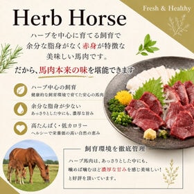 【約200g】馬刺し ハラミ切落し 刺身 / 焼肉用  ワンフローズン/ハーブホース 希少