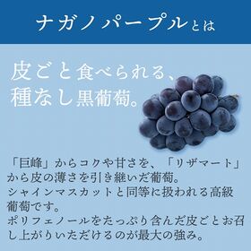 【予約受付】8月下旬~順次出荷【長野】1房　ナガノパープル