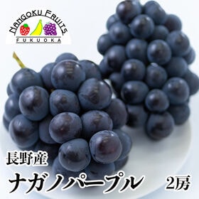 【予約受付】8月下旬~順次出荷【長野】2房　ナガノパープル