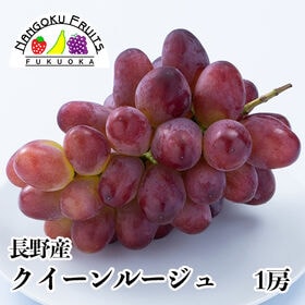 【予約受付】8月下旬~順次出荷【長野】1房　クイーンルージュ