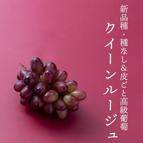 【予約受付】8月下旬~順次出荷【長野】1房　クイーンルージュ