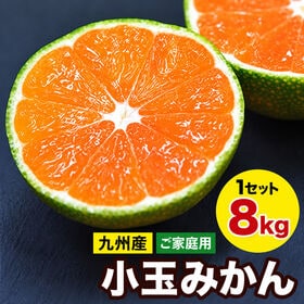 【予約受付】9/20~順次出荷【8kg(約100玉前後~22...