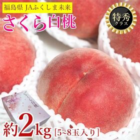 【予約受付】9/15~順次出荷【約2kg/5~8玉入り】福島県産 さくら白桃《特秀品》 | JAふくしま未来。晩秋桃の歯ごたえと甘さをお楽しみください♪